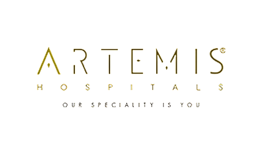 Artemis Hospital